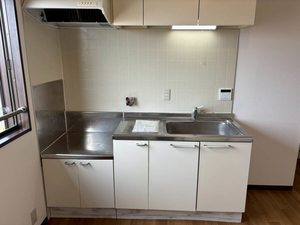 エピーメロン C201号-3