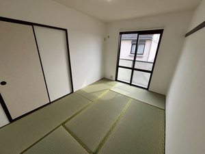 エピーメロン C201号-5