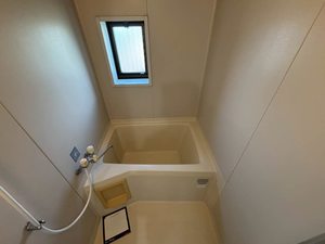 エピーメロン C202号-9