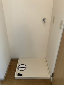 アンプルハーベスト A101号-11