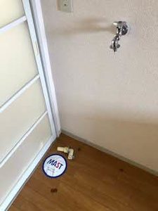 コスモスハイツ 0202号-9