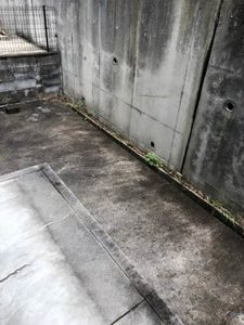 サニーヒル田原 B101号-11