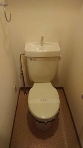 オーキッドあやめ池 0107号-9