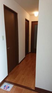 セントポーリアＡ．Ｂ A202号-2