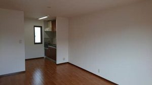 セントポーリアＡ．Ｂ A202号-3