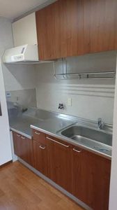 セントポーリアＡ．Ｂ A202号-4