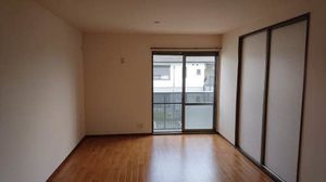 セントポーリアＡ．Ｂ A202号-5