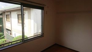 セントポーリアＡ．Ｂ A202号-6