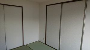 セントポーリアＡ．Ｂ A202号-10