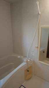 セントポーリアＡ．Ｂ A202号-11