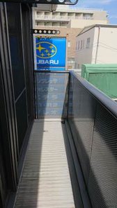 セントポーリアＡ．Ｂ A202号-14