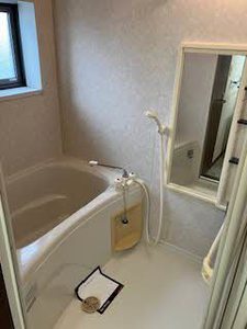 セントポーリアA.B B202号-9