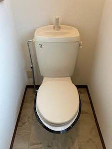 セントポーリアA.B B202号-11