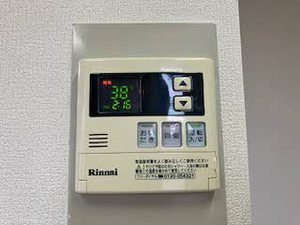 セントポーリアA.B B202号-13