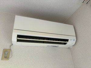 アネックスグリーンガーデン 0103号-13