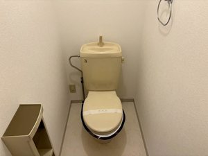 アネックスグリーンガーデン 0105号-9