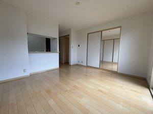 サントゥル大職冠 B202号-2