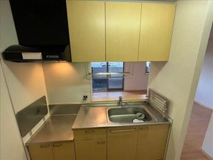 リーベンデール 0107号-3