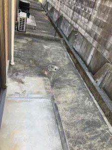 フリ－ジア大安寺 0103号-11