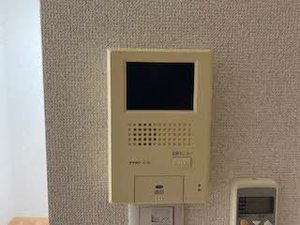 ルイ　シャトー 0103号-9