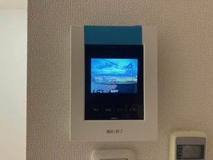 ルイ　シャトー 0206号-13