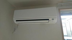 シャーメゾン三碓 0101号-4
