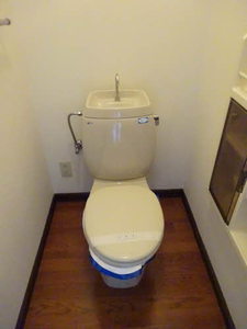 リブコスモス 0101号-6