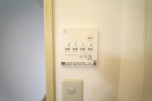 リンデンバウム 0102号-15