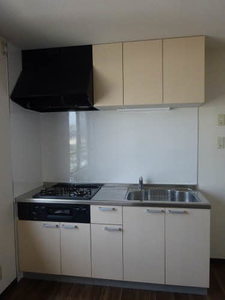 ヴィラ・ディアマンテ B203号-5