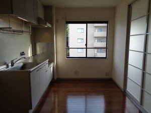 ルーラルシティー 0201号-3