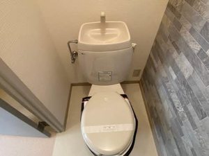 ジョーカンＧ棟 0202号-9