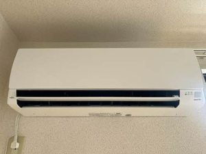 フレグランスＹ．Ｓ 0202号-9