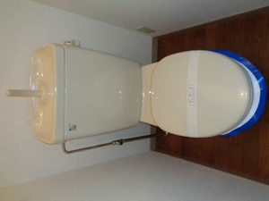 レーベン21 0205号-10