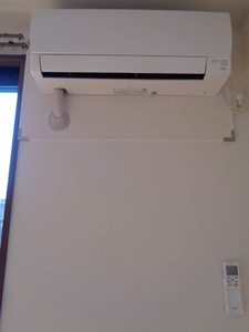 ペフィーズ 0201号-10