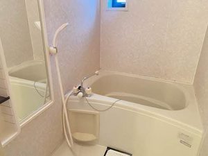 ニナジーパレス A102号-15