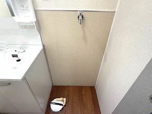 アネックス２１ 0103号-11