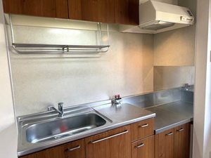 コーポメイグリーン 0201号-4