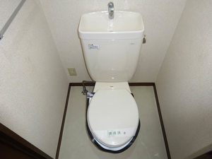 LACドミール2 0101号-8