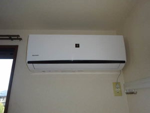 ＰＲＩＭ　ＲＯＳＥ 0201号-8