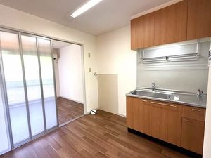 ディアス・ＳＴ 0207号-4