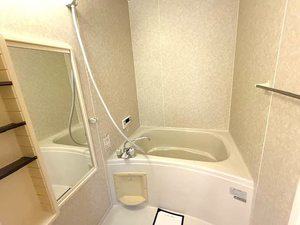 ディアス・ＳＴ 0207号-6