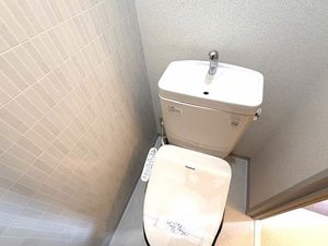 ディアス・ＳＴ 0207号-7
