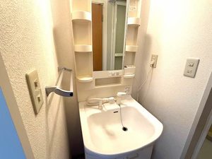 ディアス・ＳＴ 0207号-10
