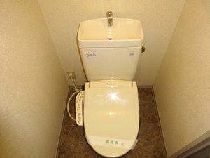 メゾン・ド・フレール A202号-8