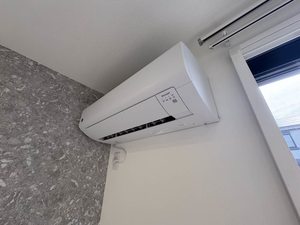 エンコウジ　Ａ 0102号-11