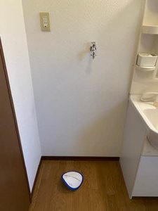 グリーン・スプリング B202号-6