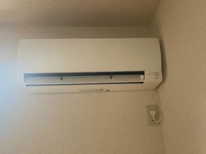 グリーン・スプリング B202号-8