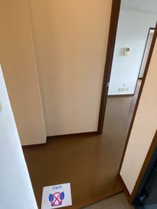 グリーン・スプリング B202号-12