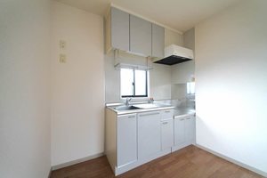 メゾン・ド・スリーゼ C201号-6