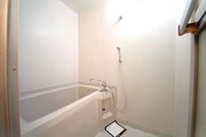 メゾン・ド・スリーゼ C201号-7